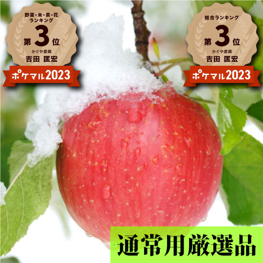 【毎年１万箱以上売れてます☆】青森県産りんご「樹上完熟葉とらずふじ」通常用厳選品