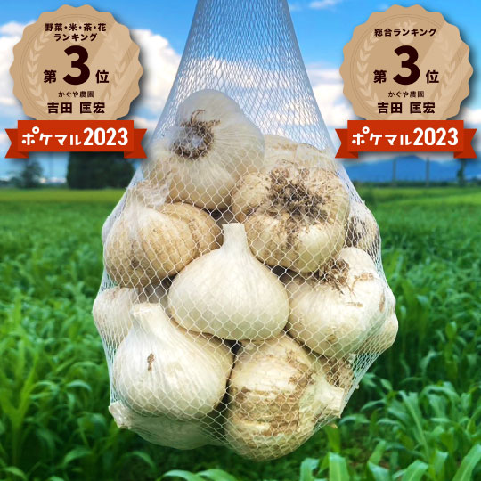 【今だけの大特価セール！】令和６年新物 青森県産土付き玉にんにく 最高級品種ホワイト６片
