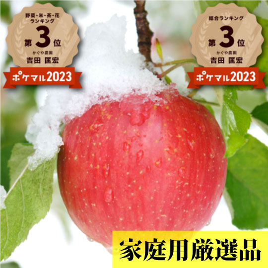 【毎年１万箱以上売れてます☆】青森県産りんご「樹上完熟葉とらずふじ」家庭用厳選品