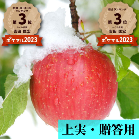 【一玉3,000円の極上りんご！】青森県産りんご「樹上完熟葉とらずふじ」上実・贈答用