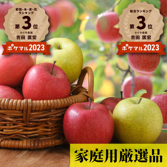 青森県産「季節の樹上完熟りんご詰め合わせセット」家庭用厳選品