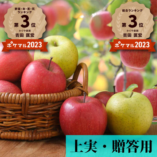 青森県産「季節の樹上完熟りんご詰め合わせセット」上実・贈答用