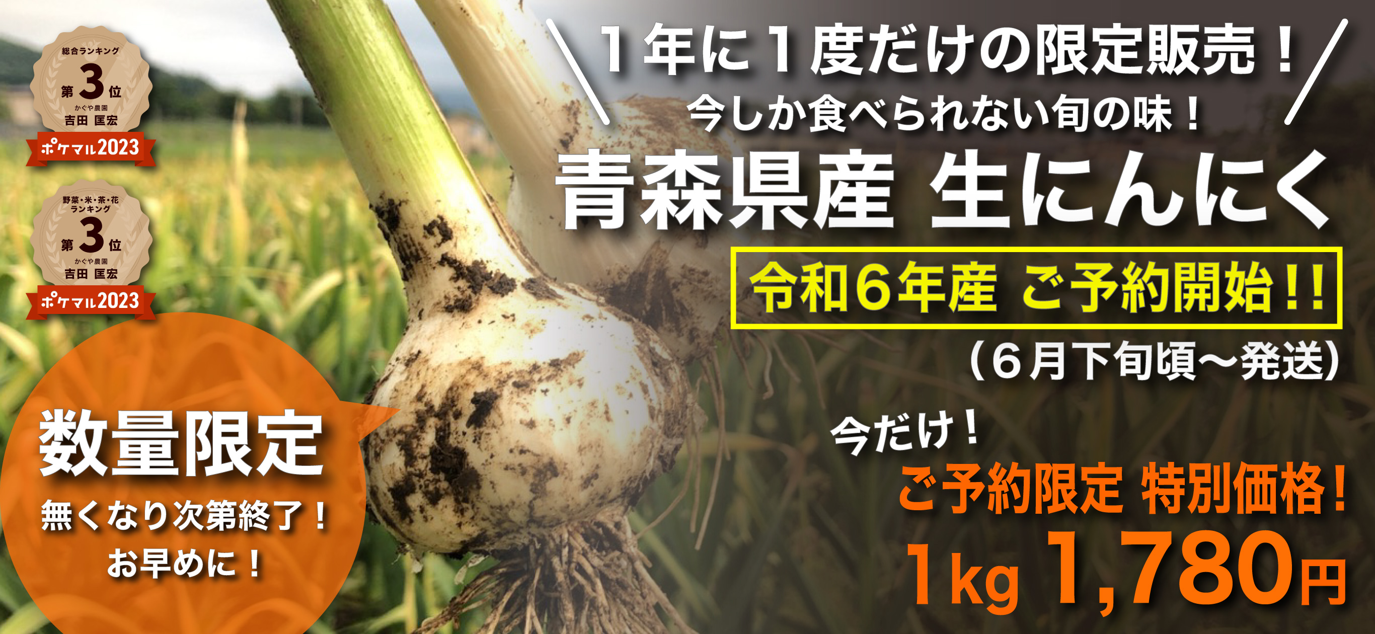 かぐや農園の青森県産生にんにく